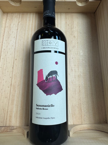 Mary Taylor Susumaniello I Buongiorno 2023