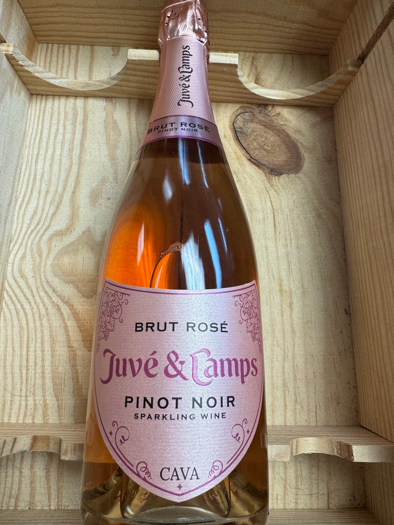 juve camps Juve Y Camps Brut Rose Cava – Rain City Wines