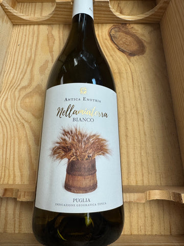 Antica Enotria 'Nelllamiaterra' Puglia Bianco 2024
