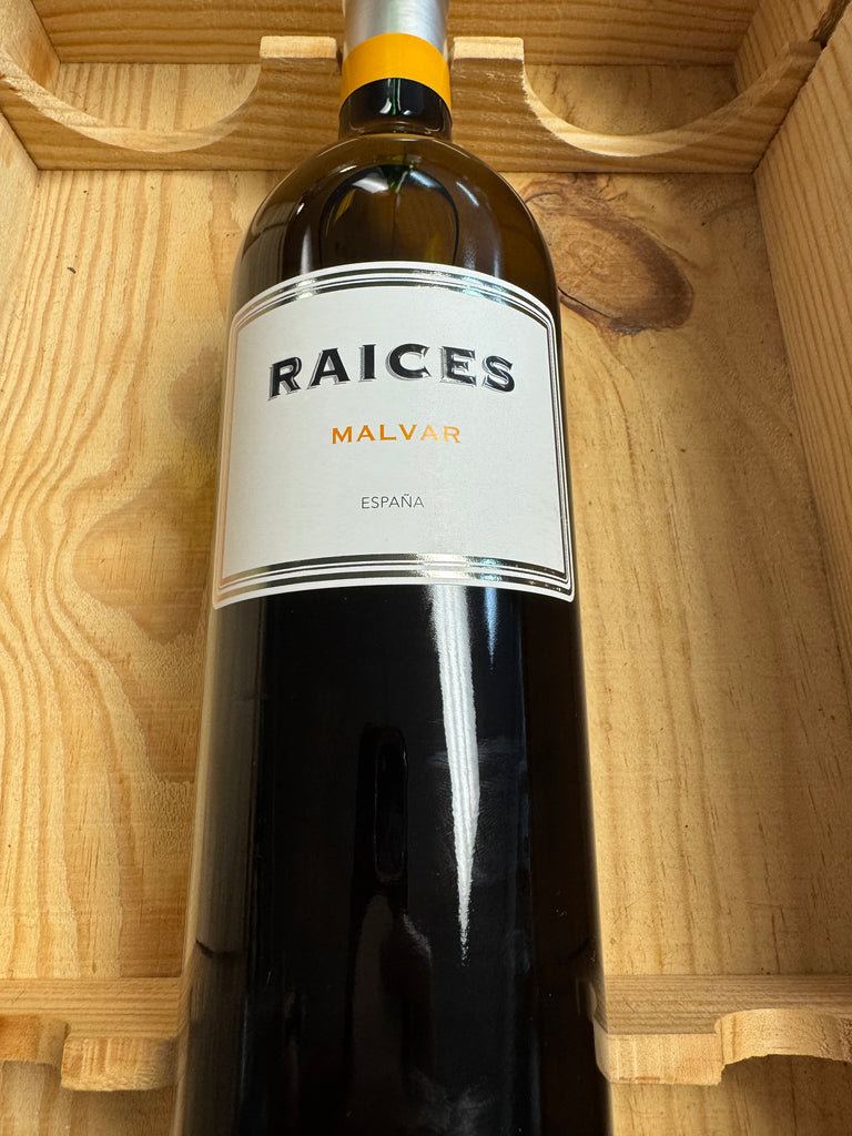 Raices Malvar 2024