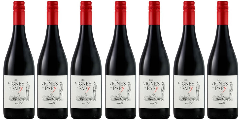 2019 Les Vignes de Papy Merlot