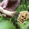 Opinel No.08 Stainless Steel Mushroom Knife